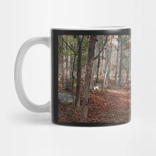 Potomac Woodlands Mug